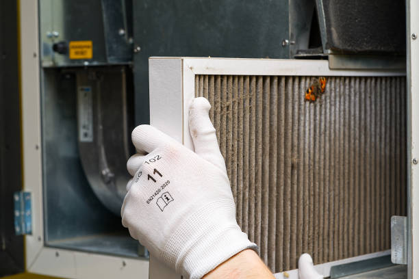 Best Air Duct Cleaning Company Near Me  in Wabasso Beach, FL