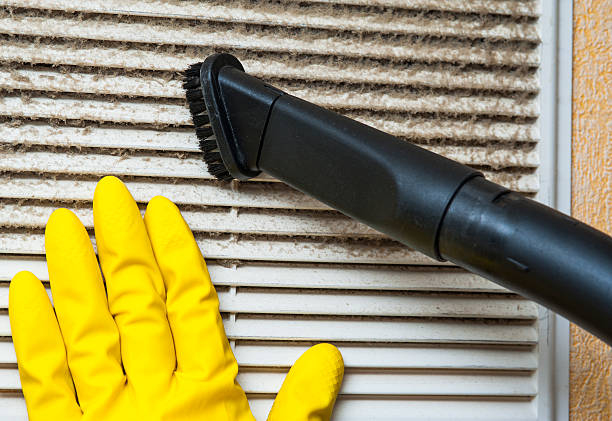 Best Affordable Air Duct Cleaning  in Wabasso Beach, FL